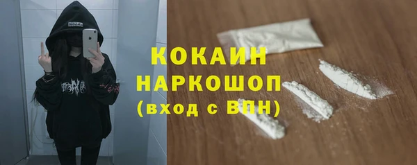 молекула духа Алексин