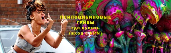 молекула духа Алексин